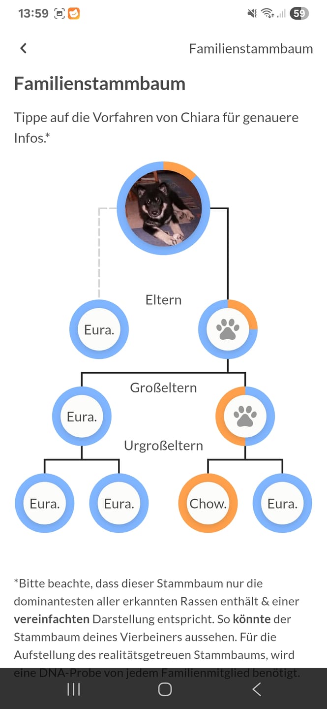 Customer photo review of DNA Test Rassebestimmung Pro Hund