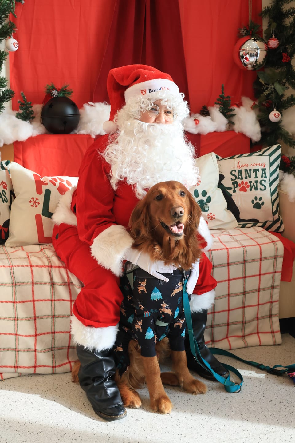Customer photo review of Christmas Human Pajama Top