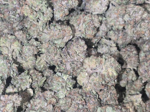 Customer photo review of Cheap THCA Flower Pound