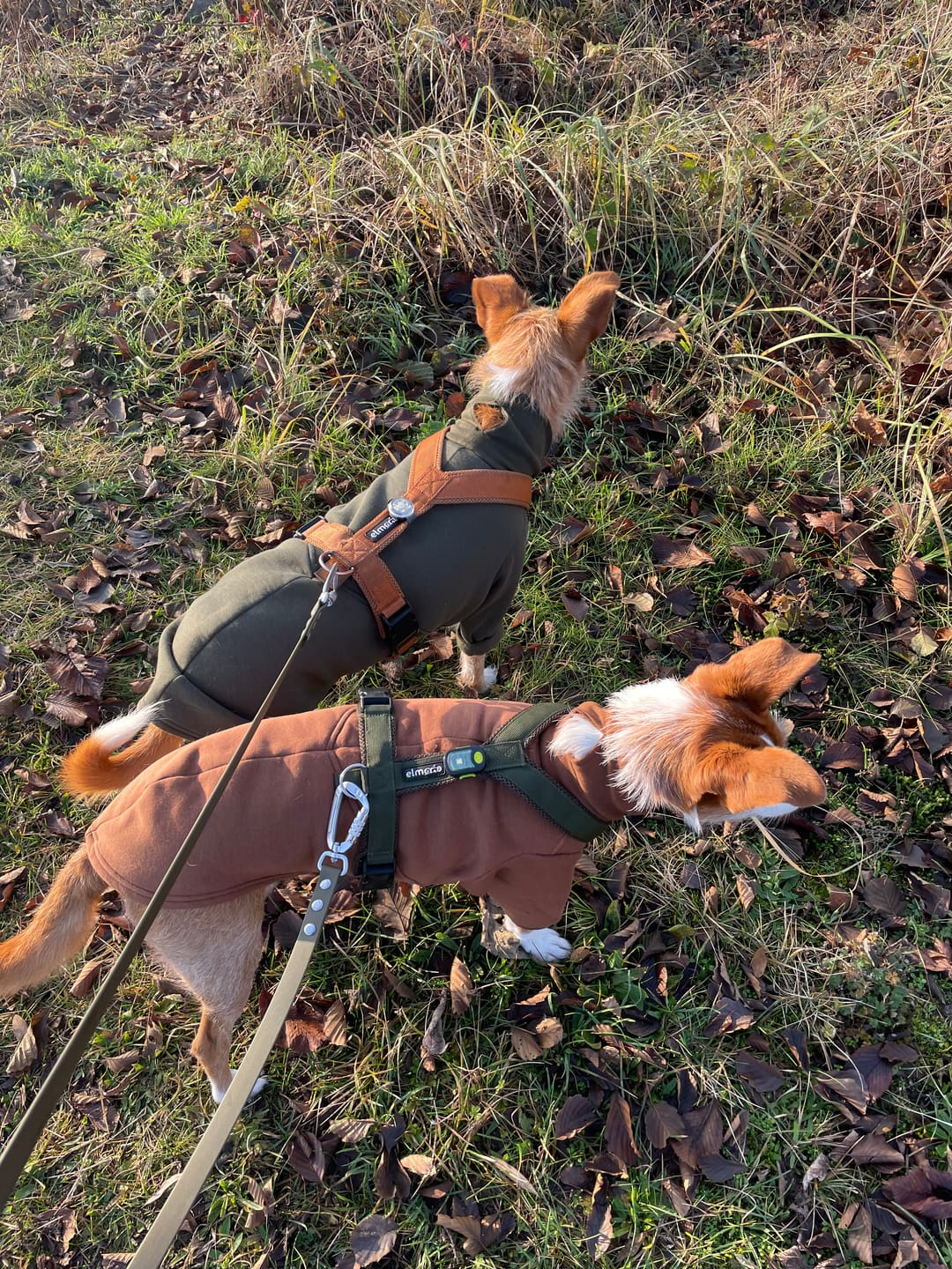 Customer photo review of Aspen "Pretzel Brown"