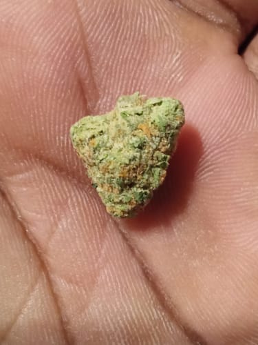 Customer photo review of BFCM THCA Flower Ounces (30% Off)