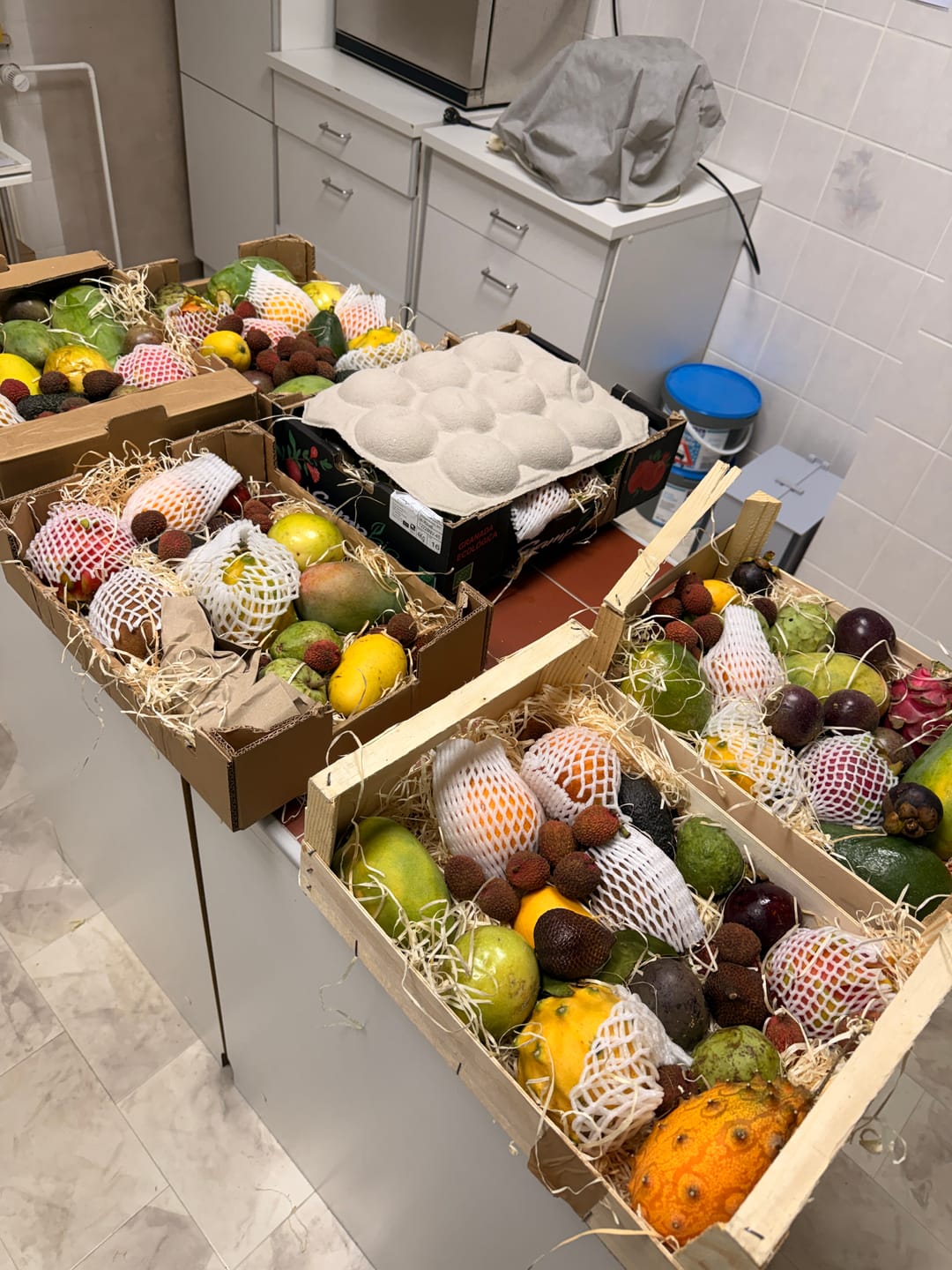 Customer photo review of Obstbox „Tropisches Weekend“