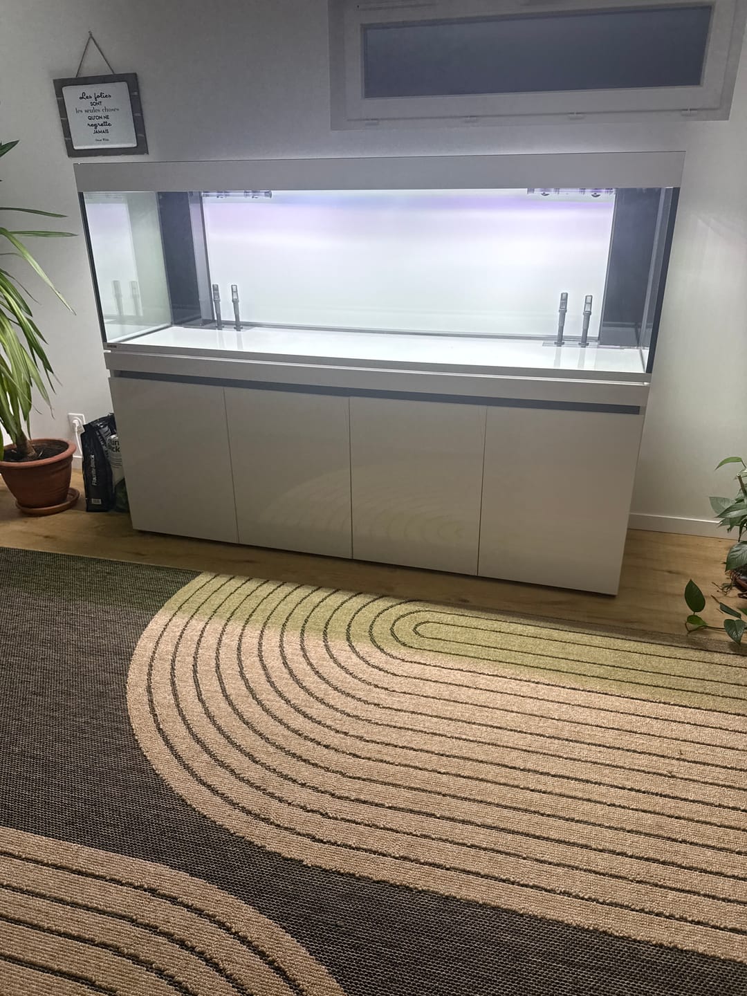 Customer photo review of Aquarium Incpiria 630 LED Alpin Équipé EHEIM - 630 L