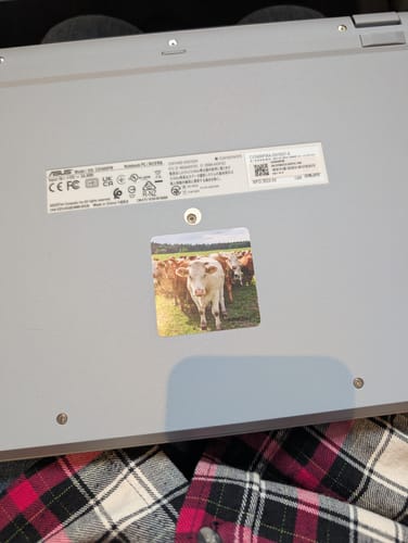 Customer photo review of Whey Protein Isolate Unflavored