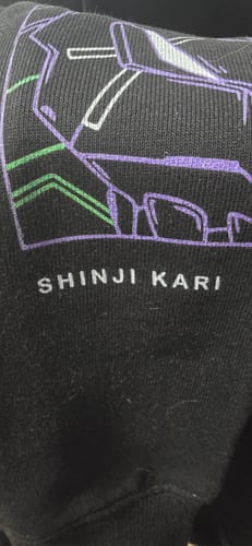 Customer photo review of OTH ✦ EVA Genesis Hoodie