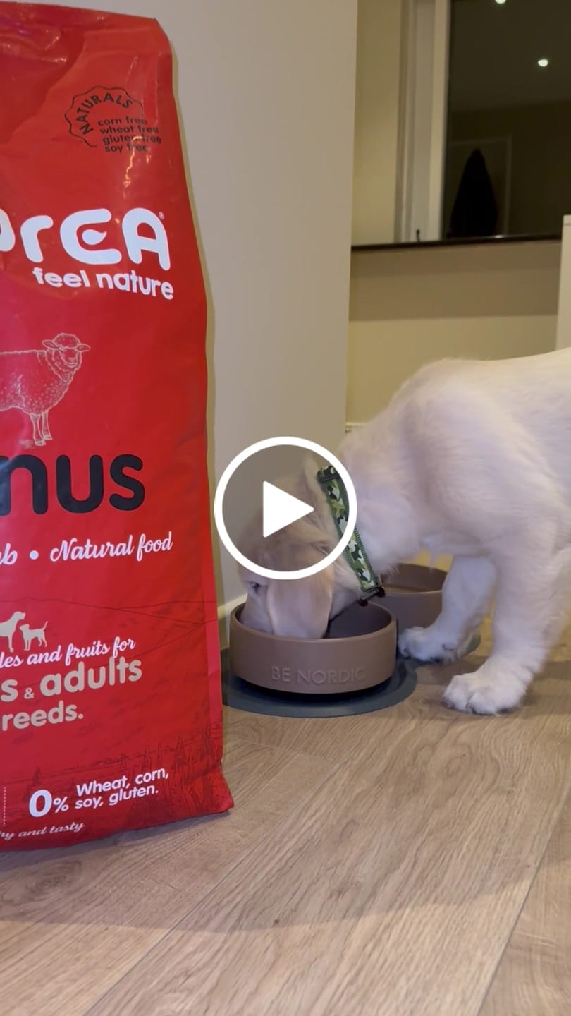 Customer video review of Naturals hundafóður - Agnus Grasslands Lamb