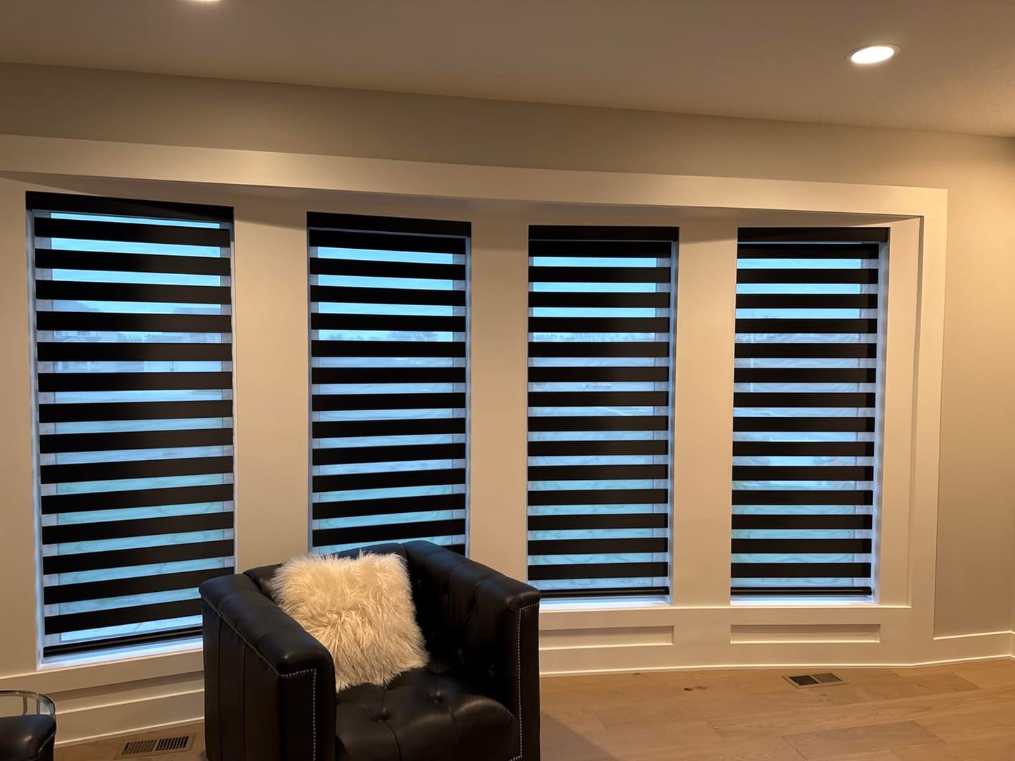 Customer photo review of Custom Dual Layer Zebra Shades