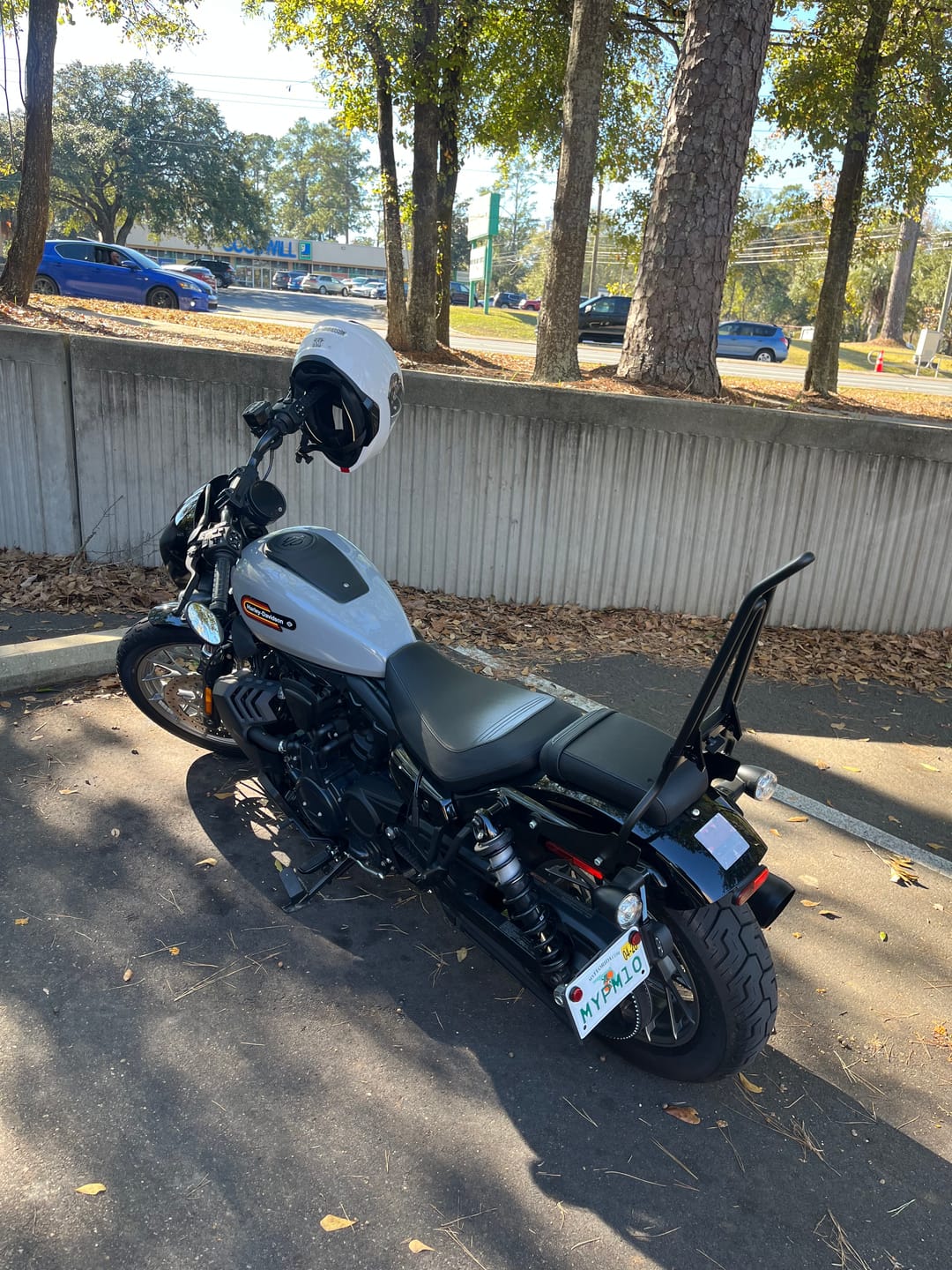Customer photo review of Iron Born Blade 25" Sissy Bar with Foldable Luggage Rack for Harley Sportster Nightster RH975/S Matte Black