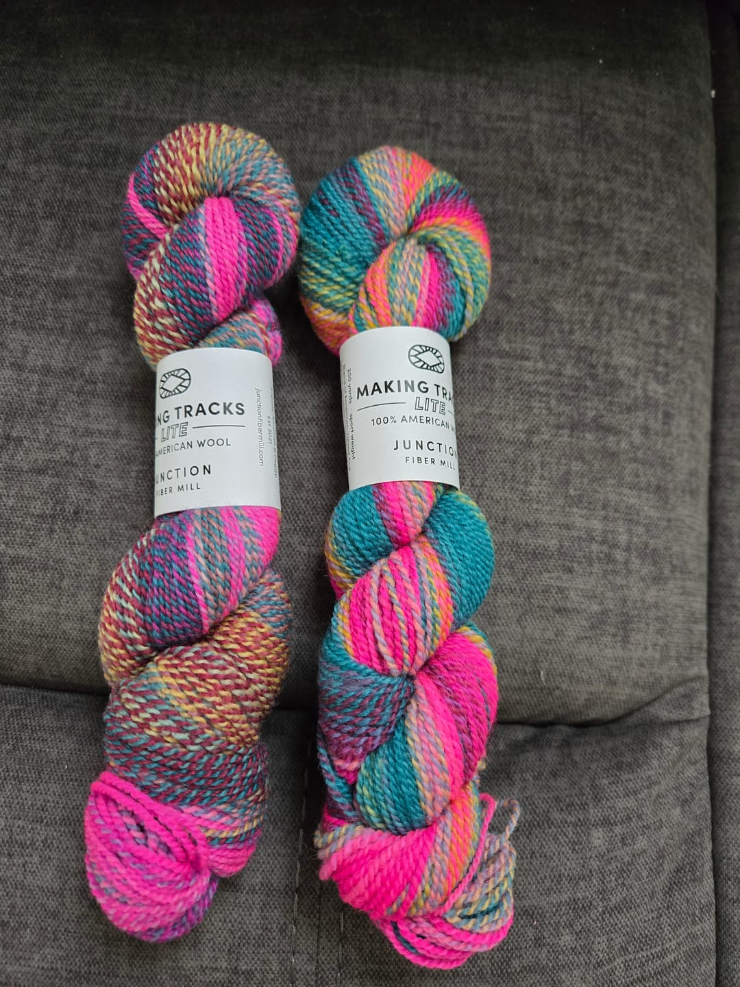 Customer photo review of Making Tracks LITE: Vermont Vice