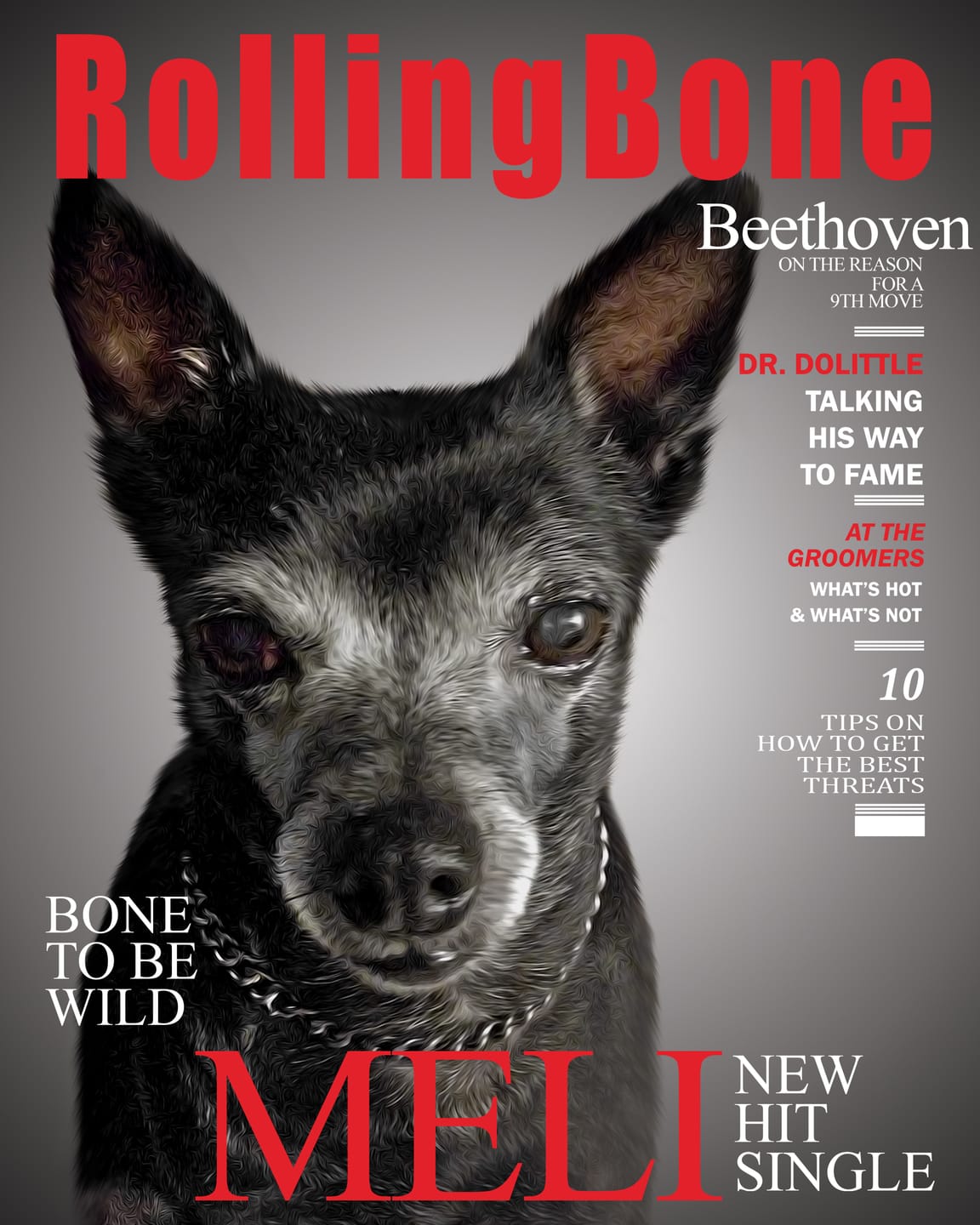 Customer photo review of Custom Pet Magazine Covers