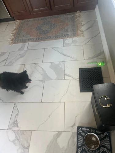 Customer photo review of WagWobble Interactive Ball