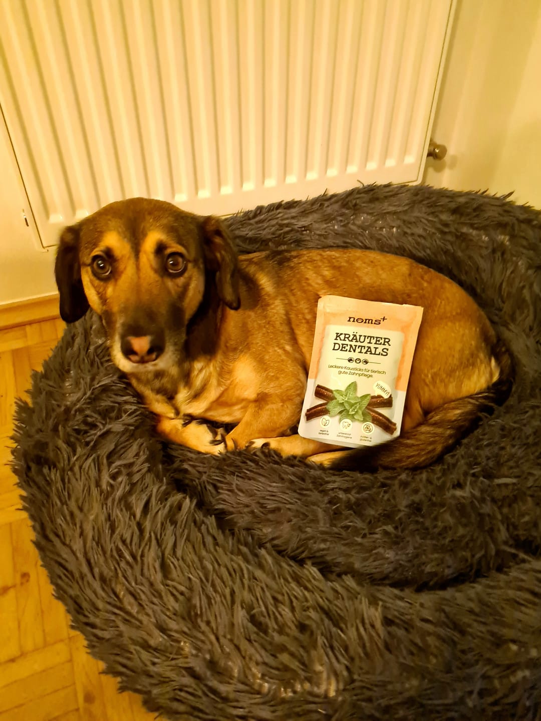 Customer photo review of Kräuter Dentals für Hunde zur Zahn- und Darmpflege (150g)