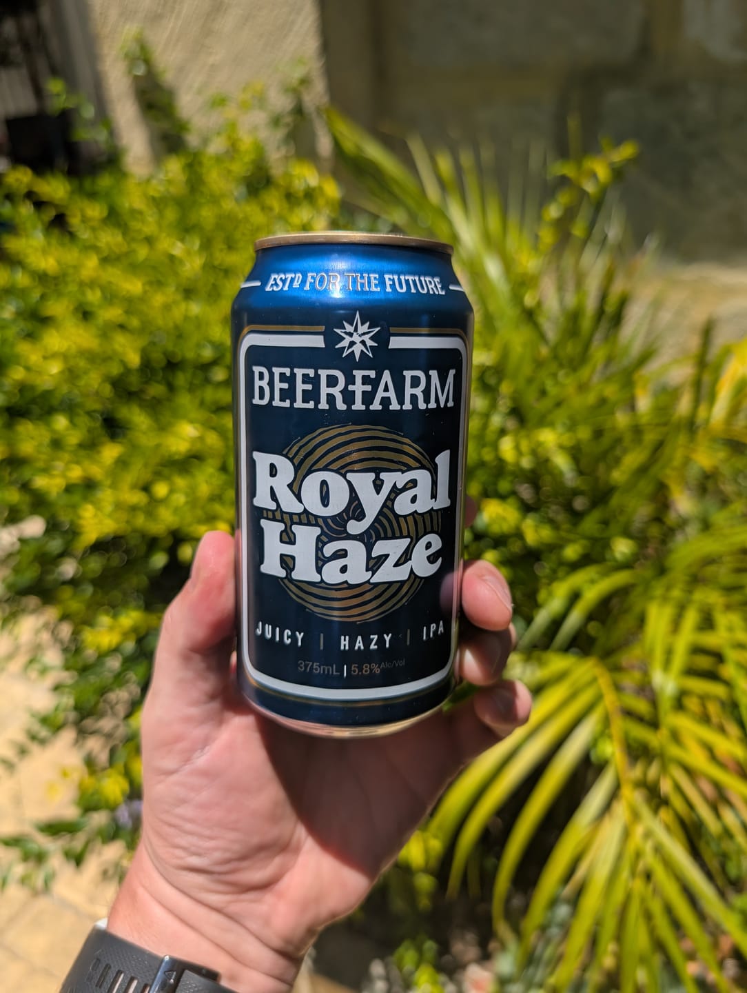 Customer photo review of Beerfarm Royal Haze