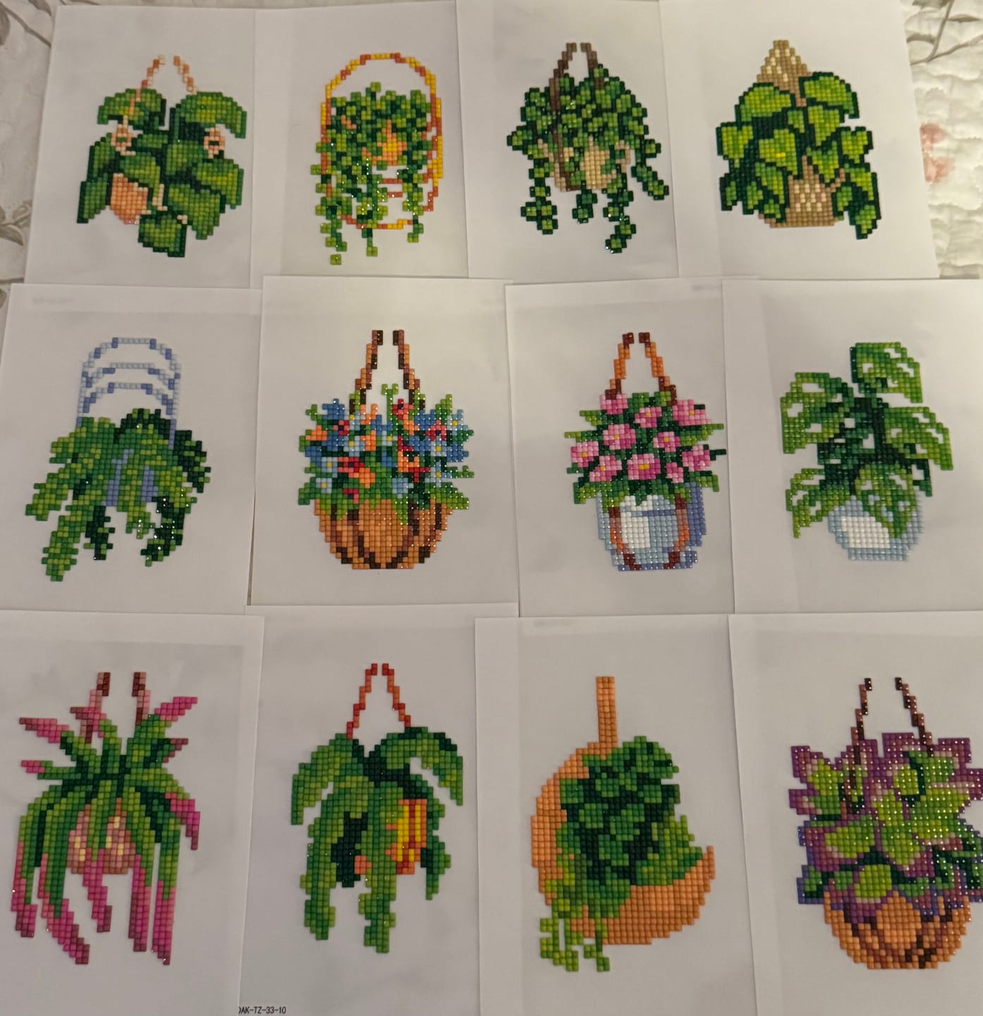 Customer photo review of Houseplants Set No. 1