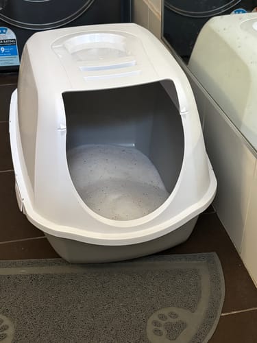 Customer photo review of 3 Month Supply - 1 Cat