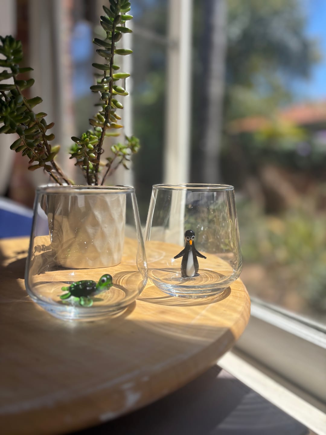Customer photo review of Loggerhead Turtle Glass