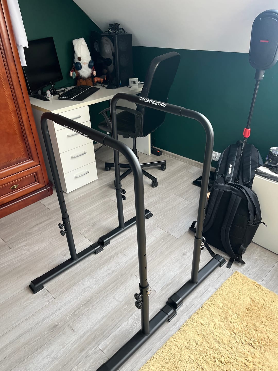 Customer photo review of Adjustable Dip Bars PREORDER