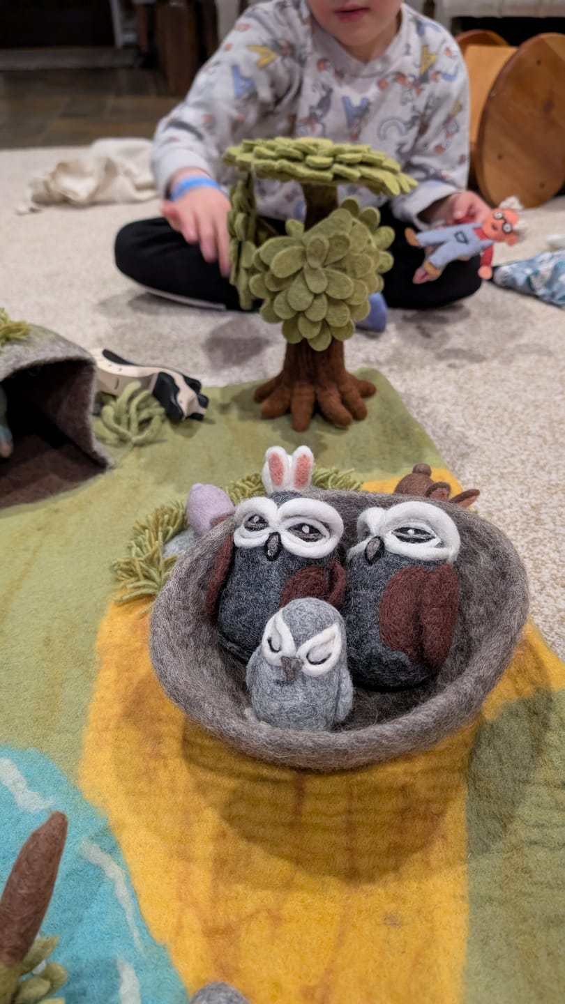 Customer photo review of Felt Birds Nest (Nest Only)