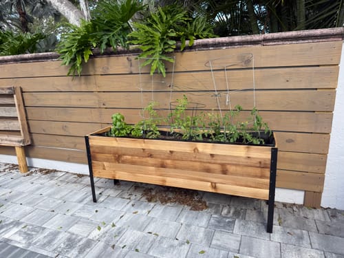 Customer photo review of 18" x 72" Raised Garden Bed - 30" TALL