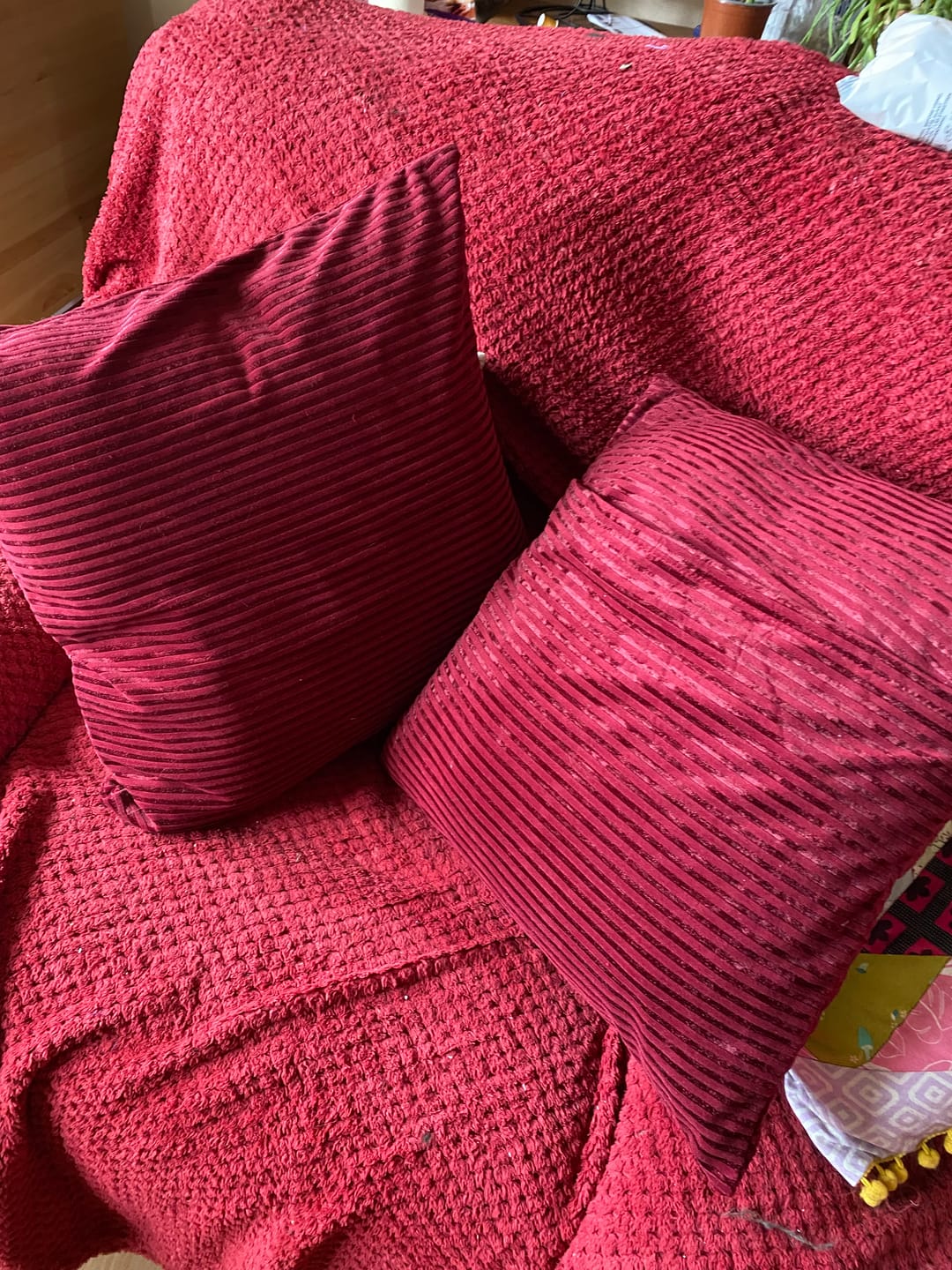 Customer photo review of Lineage Luxe Velvet Velour Fabric