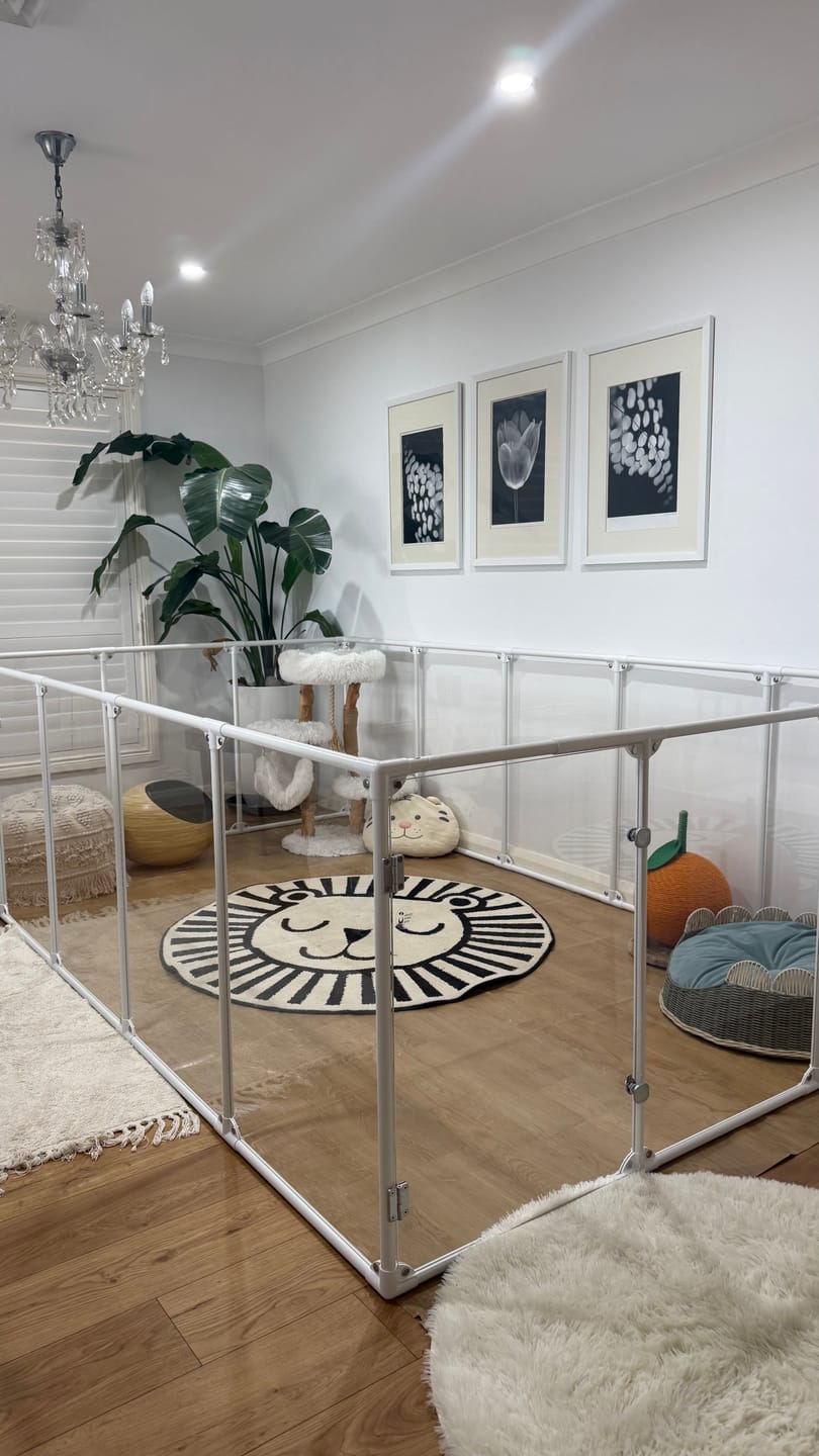 Customer photo review of 36" (91 cm) Tall Large Lucidium Pet Pen.