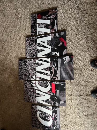 Customer photo review of Cincinnati Bearcats Wall Art Painting Canvas Poster Print Decor.