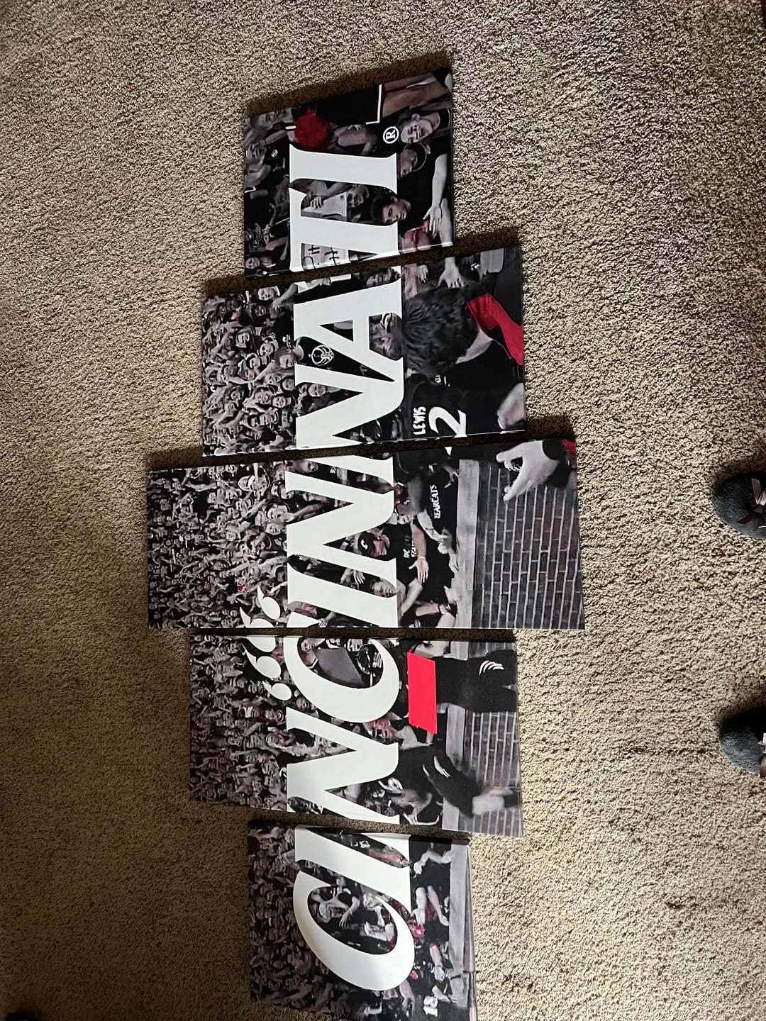 Customer photo review of Cincinnati Bearcats Wall Art Painting Canvas Poster Print Decor.
