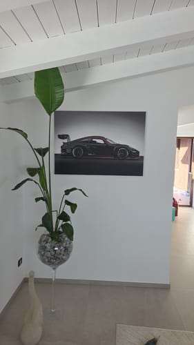 Customer photo review of Porsche GT3 RS