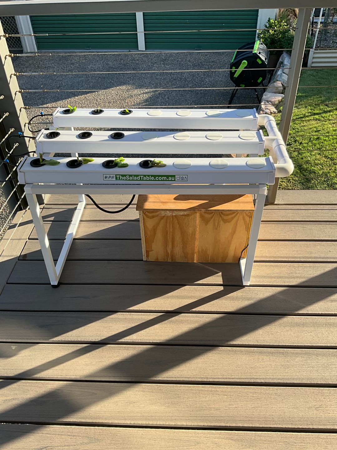 Customer photo review of The Small Salad Table