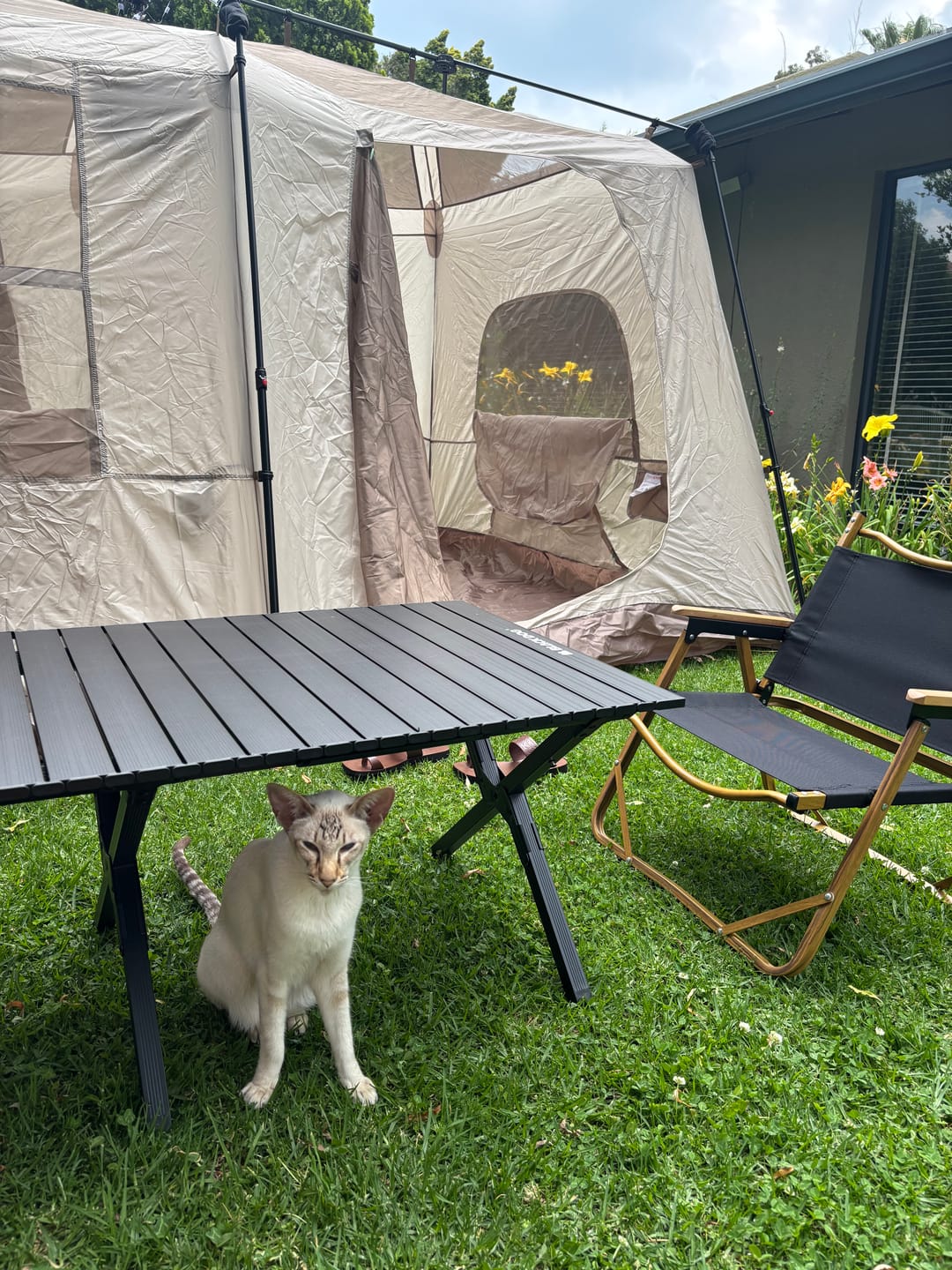 Customer photo review of Heavy-Duty Folding Table