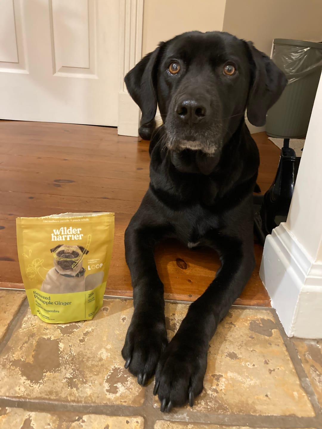 Customer photo review of Vegan Biscuits - Promotion