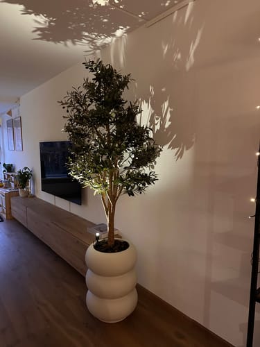 Customer photo review of Kunst Olijfboom 170cm Deluxe