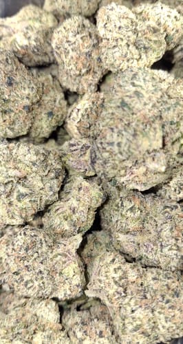 Customer photo review of Mochi