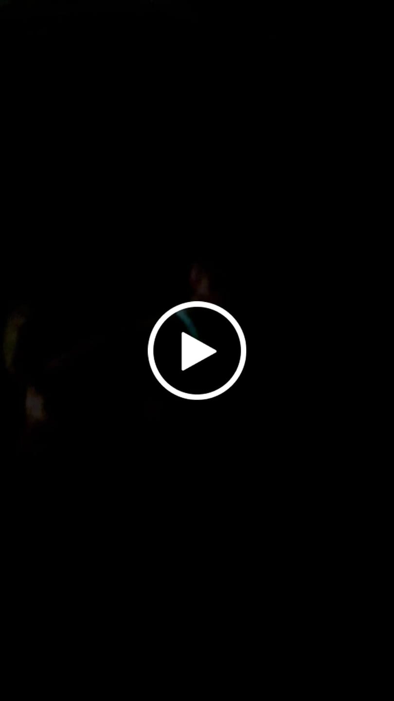 Customer video review of Glow In The Dark Silicon Dog Necklace