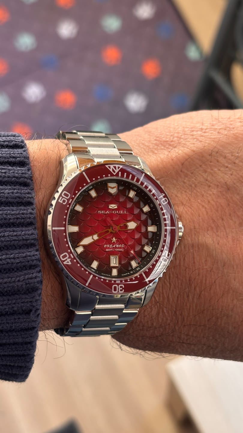 Customer photo review of Ocean Series Diving Watch 44mm