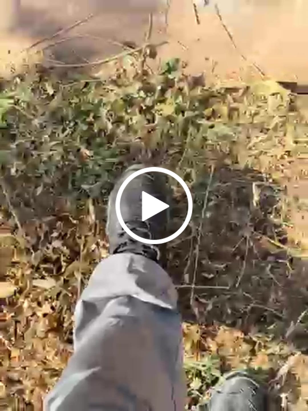 Customer video review of Maven Lightweight Steel Toe Safety Shoes