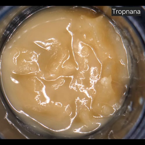 Customer photo review of Tropnana (Reserve Wash)