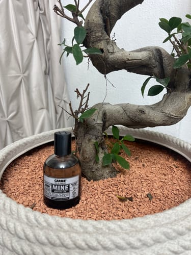 Cliente mostra il flacone di profumo CARME' posizionato in un vaso accanto a un bonsai.