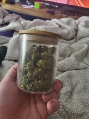 Customer photo review of Gorilla Glue THCA Flower