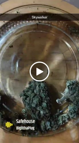 Customer video review of OG Mainline