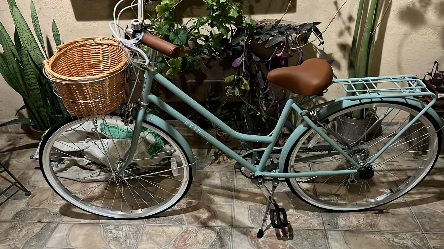 Customer photo review of אופני עיר וינטאג' לנשים Reid Ladies Classic