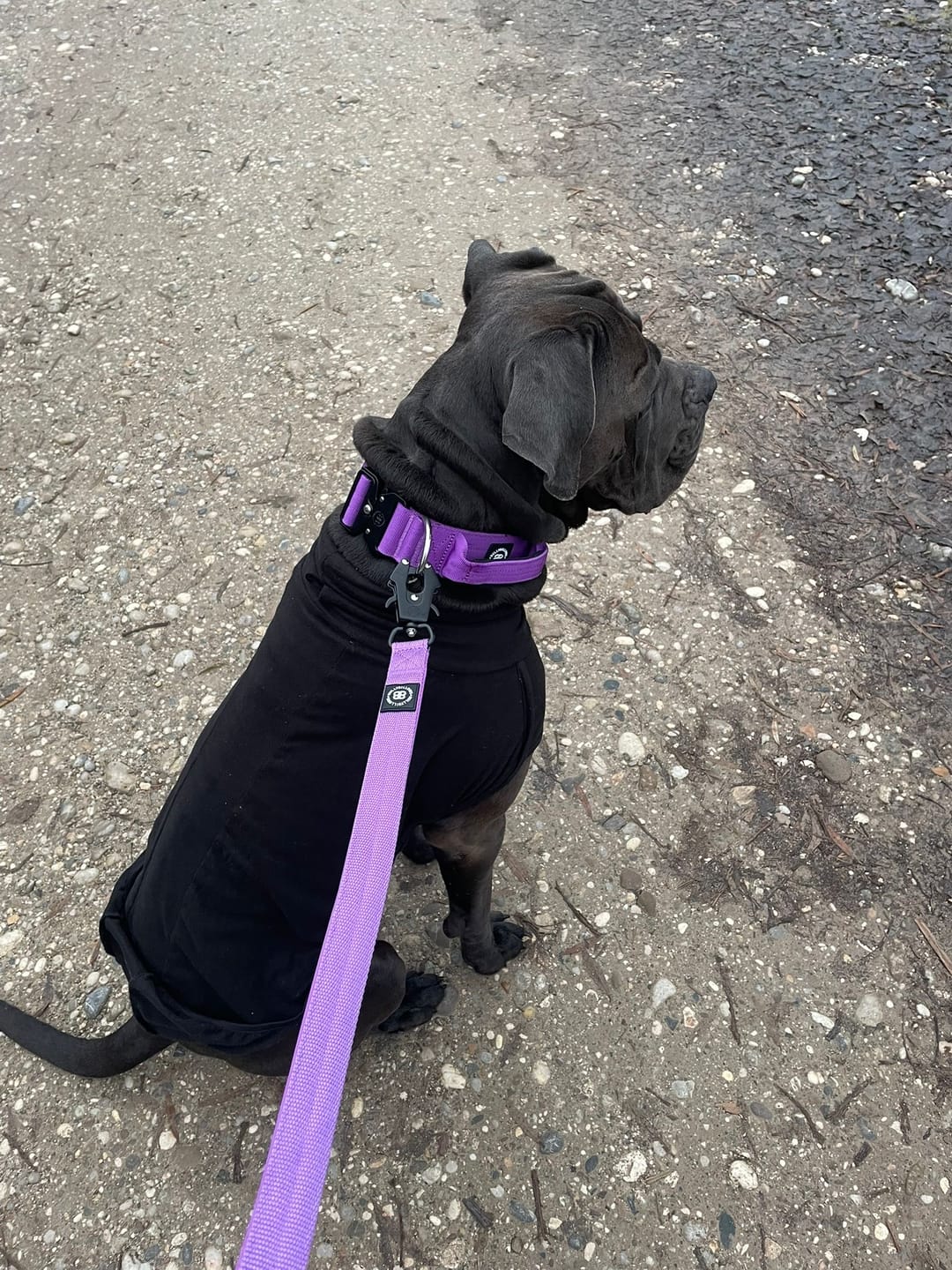 Customer photo review of 1.2m Mini Combat® Lead -  Purple