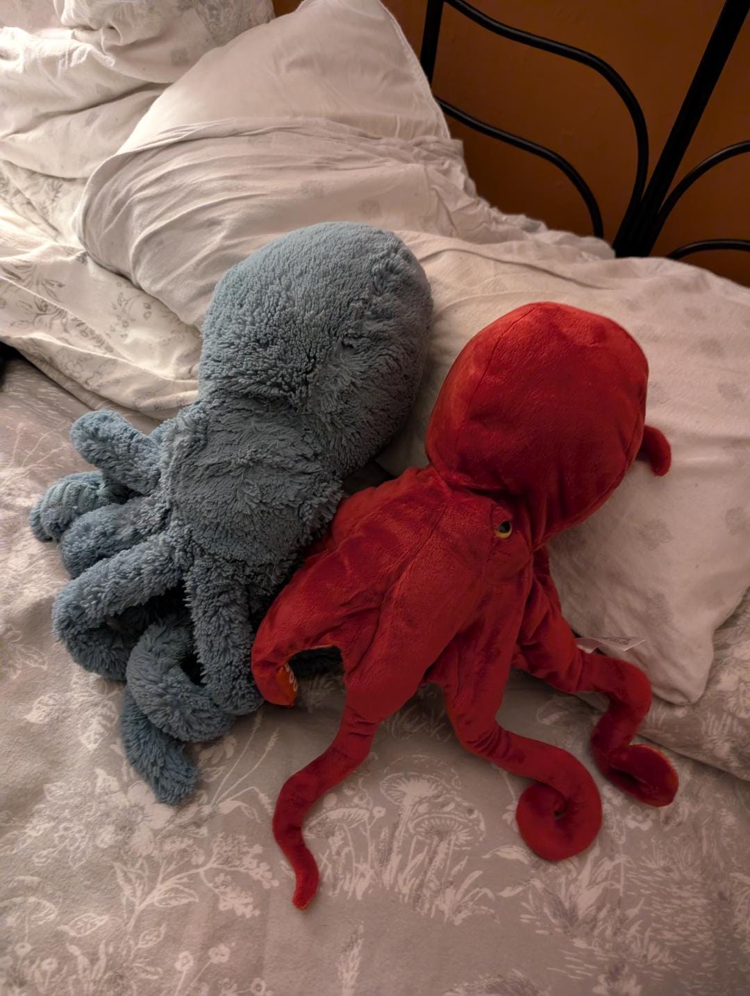 Customer photo review of Red Octopus Soft Stuffed Plush Toy
