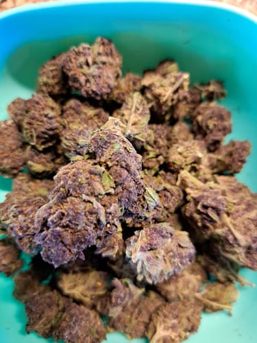 Customer photo review of Tropicana Cherry THCA Flower