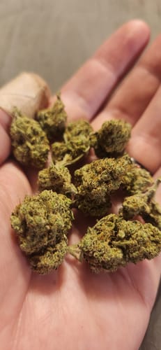 Customer photo review of Secret Stash