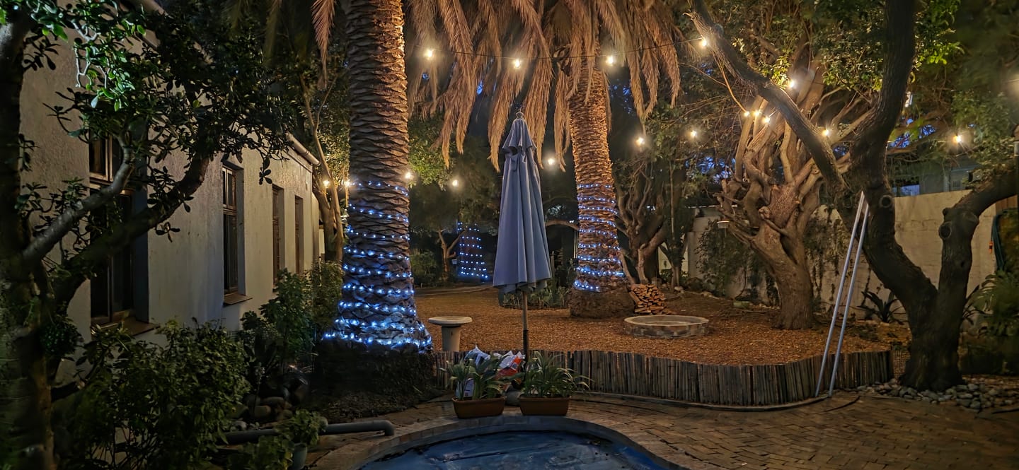 Customer photo review of Solar Festoon Bulb String Lights