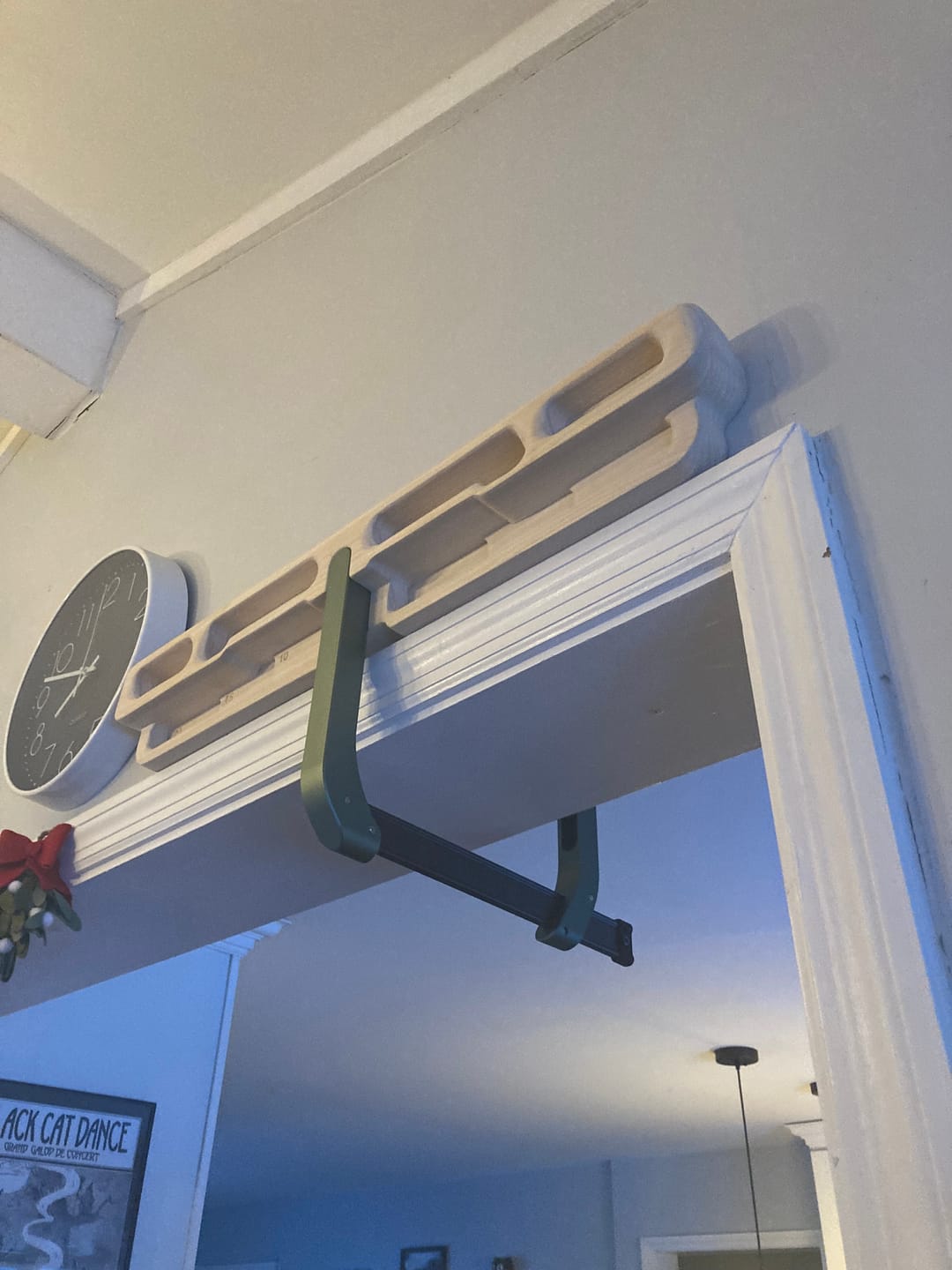 Customer photo review of DoorMount Pro