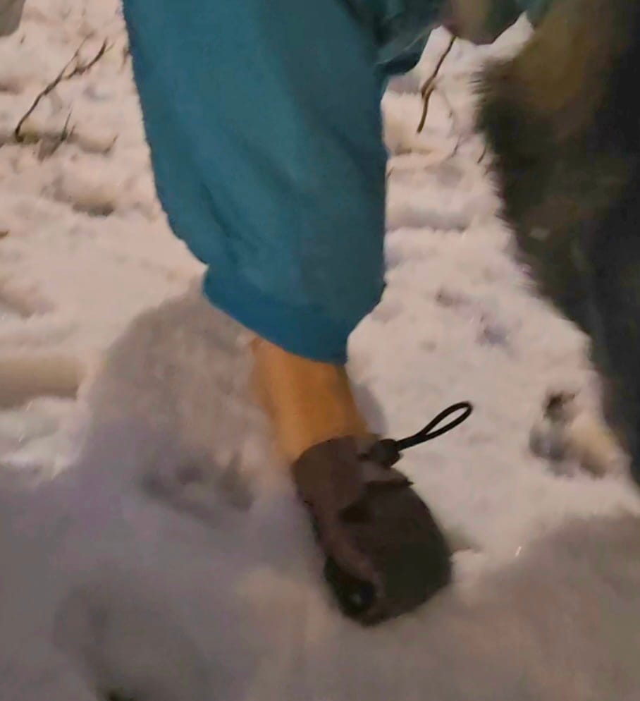 Customer photo review of The Lariat Cinch - Dog Boots
