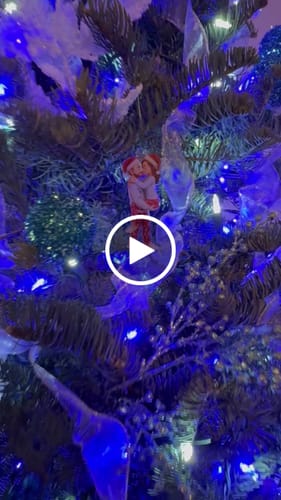 Customer video review of Christmas Gifts For Husband And Wife - Personalized Acrylic Ornament