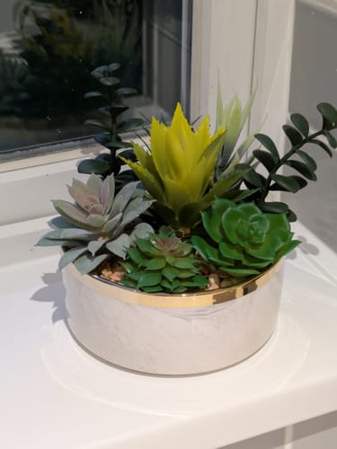 Customer's assembled Forever Flowerz succulents kit in its decorative ceramic pot with a gold rim, sitting on a windowsill.